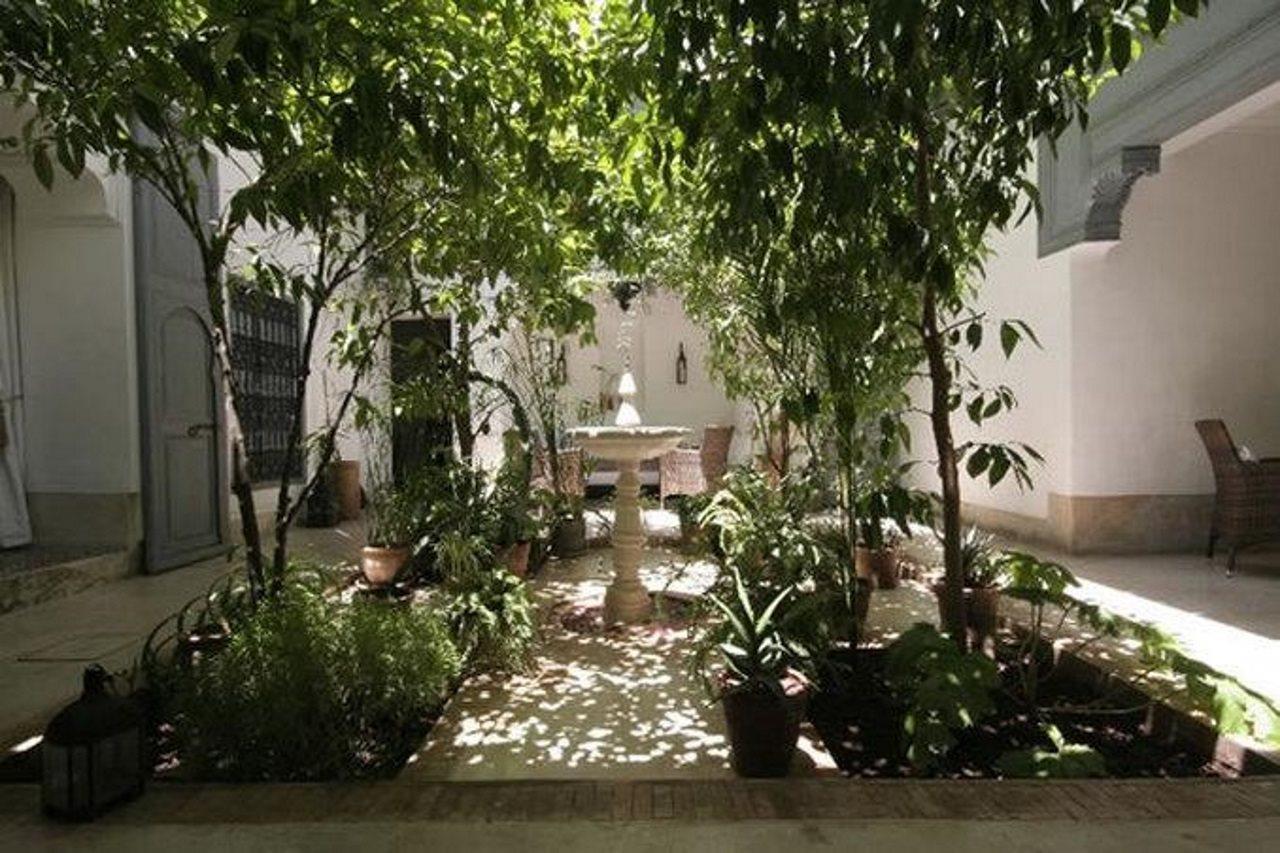 Riad Dar Hanane มาร์ราเกช ภายใน รูปภาพ
